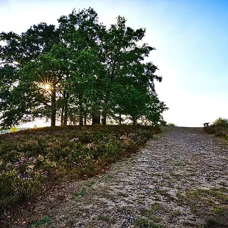 Casa Caso - 3 * Achim